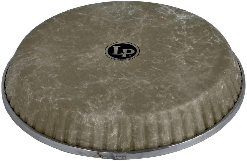 Latin Percussion LP265AP 11" Fiberskyn Bongo Head