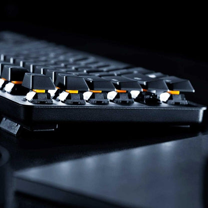 Razer RZ03-02640200-R3U1 BlackWidow Lite TKL Mechanical Keyboard