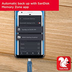 SanDisk SDDDC3-256G-G46NB 256GB Ultra Dual Drive Go USB-C