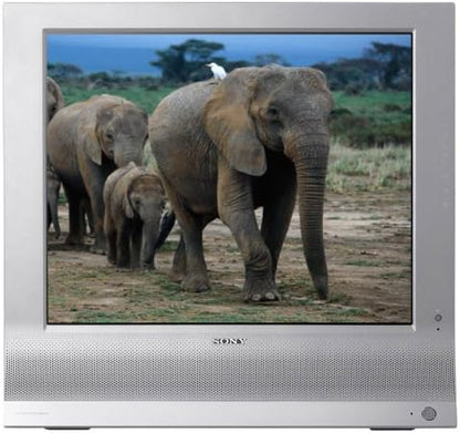 Sony MFM-HT95 19-Inch LCD TV Monitor