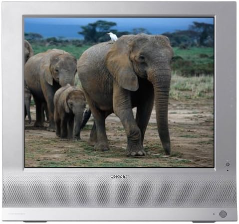 Sony MFM-HT95 19-Inch LCD TV Monitor — main product image