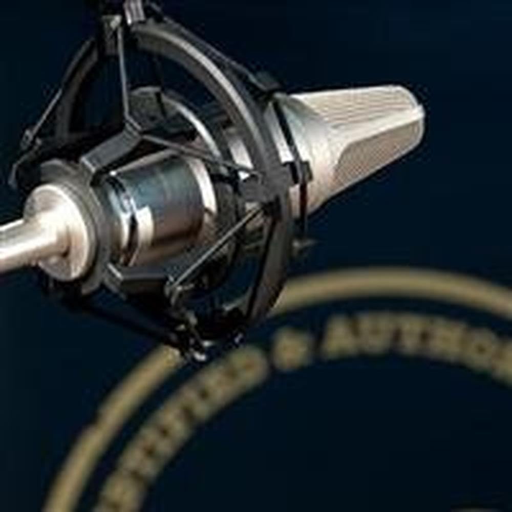 Rode SM2 Studio Condenser Microphone Shock Mount