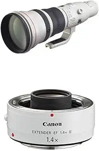 Canon EF 800mm Super Telephoto Lens with Extender