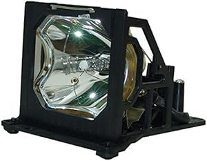 InFocus LP790HB Projector Lamp Assembly