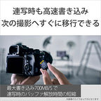 Sony CEA-G80T CFexpress Type A Memory Card 80GB
