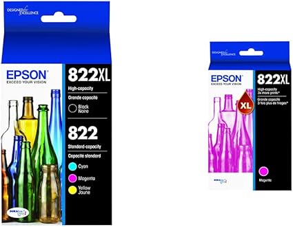 Epson T822XL-BCS Ink Combo Pack Standard and High Capacity