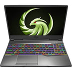 MSI Alpha 15 A4DEK Gaming Laptop Ryzen 7 RX 5600M