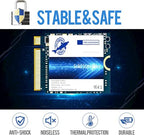 THREE COLOUR DOGFISH M.2 2230 NVMe Internal SSD