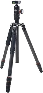 Sigma 24mm f/2 DG DN Sony E Lens Bundle