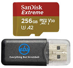 SanDisk 256GB_TF_Extreme Pro_R4 MicroSD Card for DJI Drones