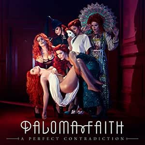 Sony Perfect Contradiction Vinyl Album