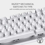 Razer RZ03-02640700-R3M1 BlackWidow Lite TKL Keyboard