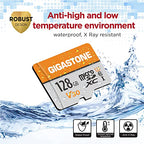 Gigastone 128GB microSDXC A1 V30 4K Card 2-Pack