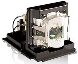 InFocus 2LA4607 SP-LAMP-073 Projector Replacement Lamp (OEM Bulb)
