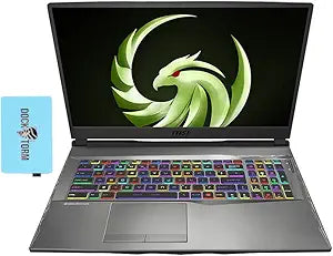 MSI ALPHA17A011-2346 RX 5600M Gaming Laptop 32GB 1TB SSD — main product image