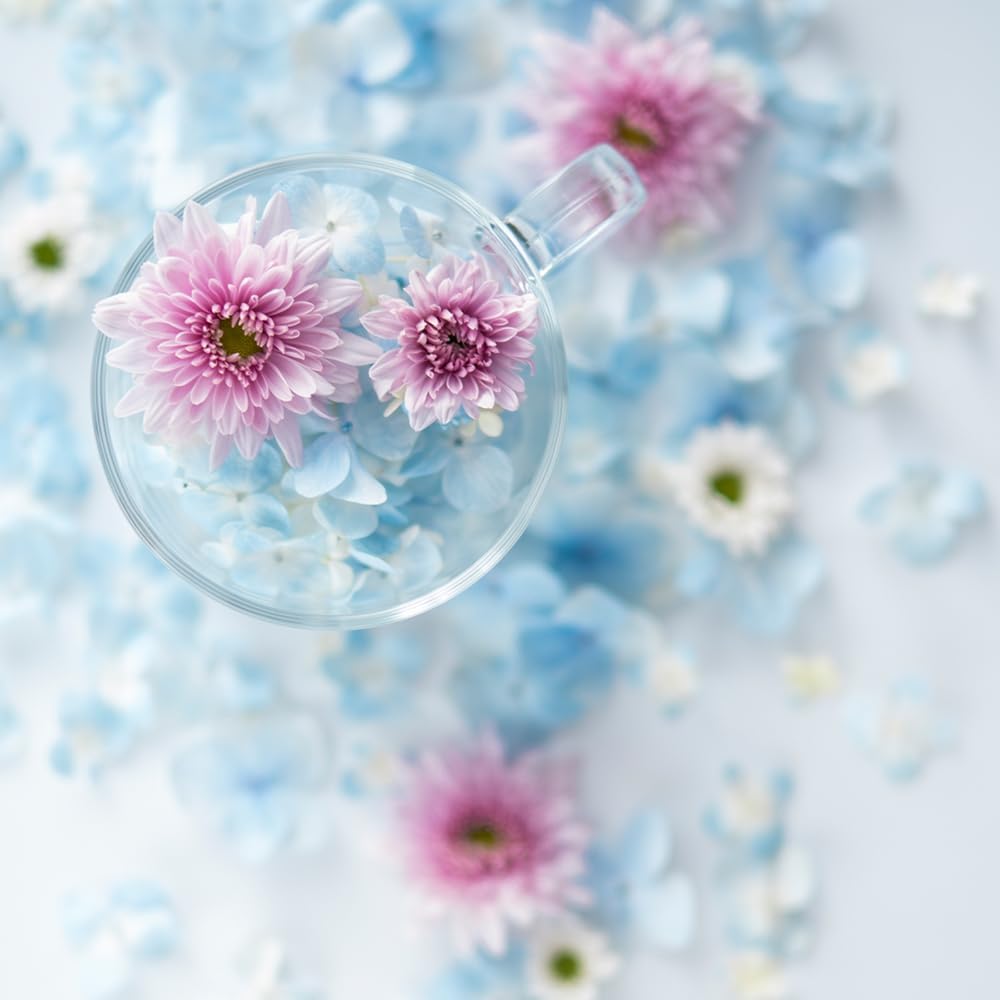 Fujifilm 16664339 XF 50mm F1.0 R WR Lens