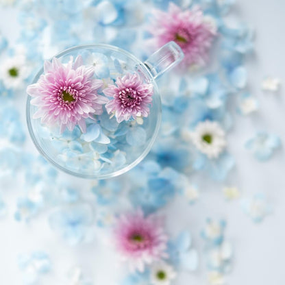 Fujifilm 16664339 XF 50mm F1.0 R WR Lens