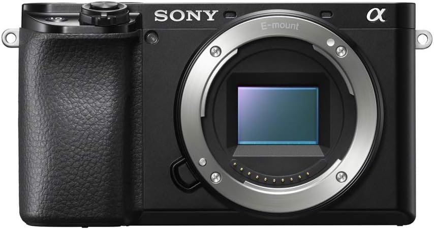 Sony a6100 Mirrorless Camera 2 Lens Kit Bundle ILCE6100YB