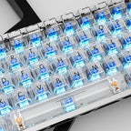 Zhouwang Outemu Crystal Blue Clicky Mechanical Keyboard Switches