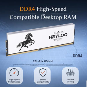 HEYLOO DDR4 RGB Dual-Channel Desktop Memory Kit