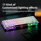 Ladybug Hot-Swappable 60% Mechanical Gaming Keyboard