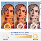 Cyezcor Clip-On Ring Light for Video Conferencing Calls