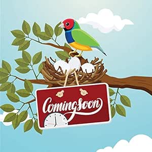 ViewSonic LD-MK-001 Direct View LED Maintenance Tool