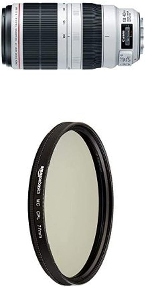 Canon EF 100-400mm IS II USM Telephoto Lens