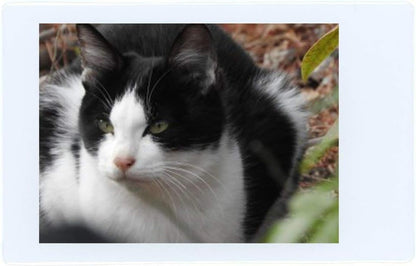 Fujifilm BHBUSWA1070 Instax Mini Film 100 Sheets