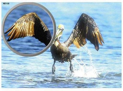 Tiffen 58ND3 58mm Neutral Density ND Filter