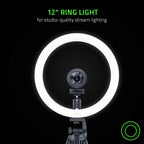 Razer RZ19-03660100-R3M1 12