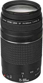 Canon 6473A003 EF 75-300mm Lens Renewed Kit