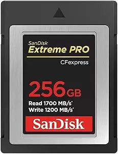 SanDisk Extreme PRO 256GB CFexpress Type-B Card — main product image