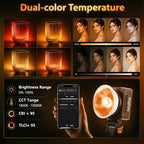 GODOX 40W Bi-Color COB Rechargeable Magnetic Video Light