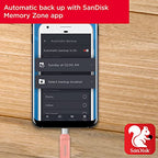 SanDisk SDDDC3-128G-G46PC 128GB Ultra Dual USB-C Drive