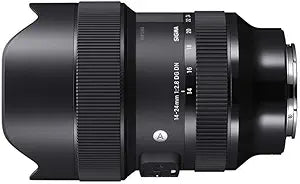Sigma 14-24mm F2.8 DG DN - Sony E Mount (Renewed)