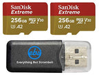 SanDisk 256GB_TF_Extreme_x2_R4 Extreme MicroSD Card 2-Pack DJI Drone