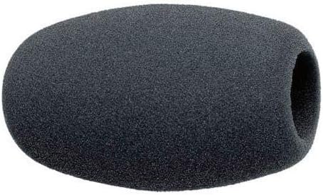 Sennheiser 004839 Microphone Windscreen Evolution — main product image