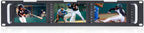 FEELWORLD T51 5 Inch 2RU SDI Rack Monitor