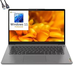 Lenovo 3 14 IdeaPad i7 1TB SSD Business Laptop