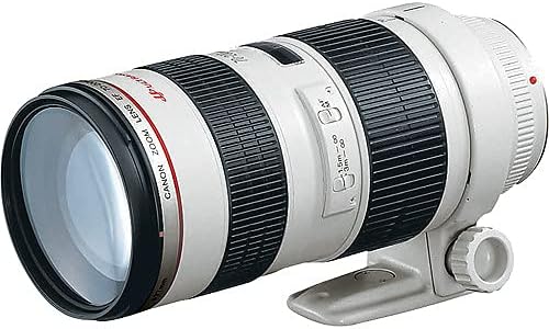Canon 2569A004 EF 70-200mm f/2.8L USM Lens Kit