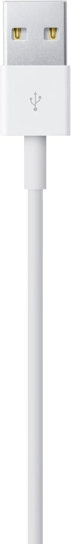 Apple MUQW3AM/A Lightning to USB Charging Cable