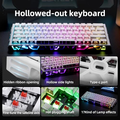 Ladybug Hot-Swappable 60% Mechanical Gaming Keyboard — main product image