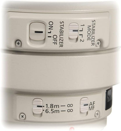 Canon 2577A002 EF 100-400mm f/4.5-5.6L IS USM Telephoto Zoom Lens