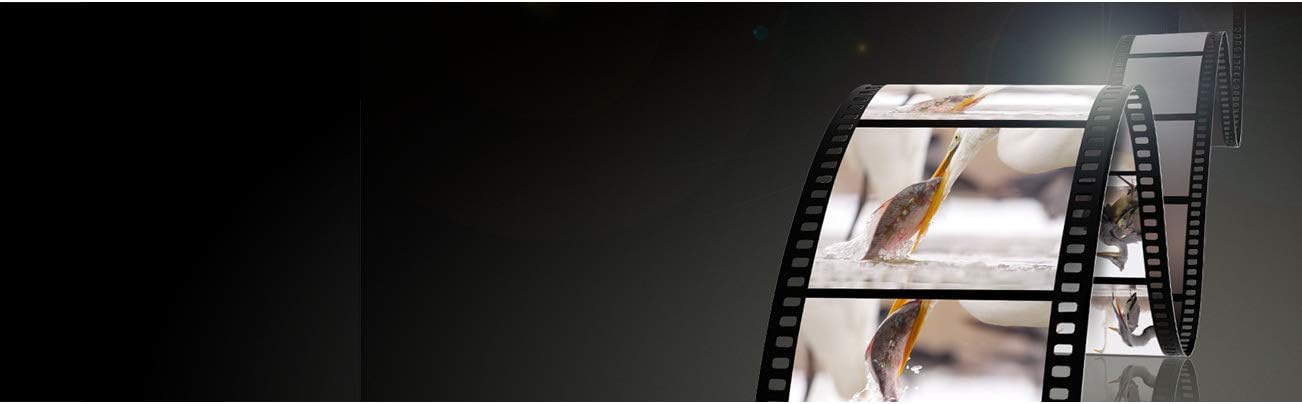 Panasonic H-HSA12035 LUMIX G X VARIO II 12-35mm Lens