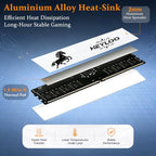 HEYLOO DDR4 RGB Dual-Channel Desktop Memory Kit