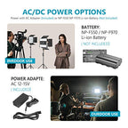Neewer 90096328 480 LED Video Light Kit Remote