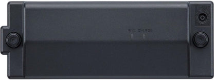 Roland BTY-NIMH/A Rechargeable Power Pack for Mobile Amps