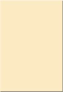 Tiffen 4x5.65" Coral 1 Solid Color Filter - Photography