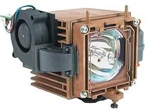 InFocus LYSB0053O9L8A-ELECTRNCS Projector Lamp with OEM Bulb — main product image